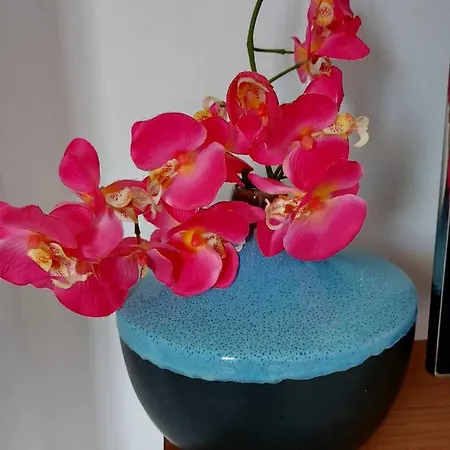 Driton's Lejlighed Shëngjin