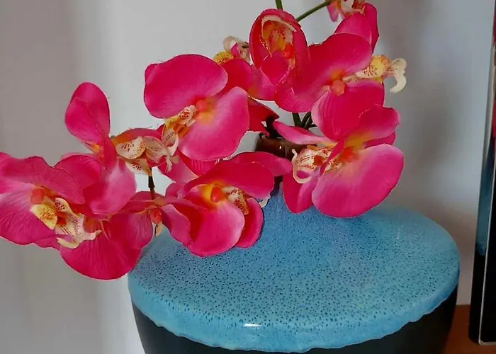 Driton's Apartamento Shëngjin